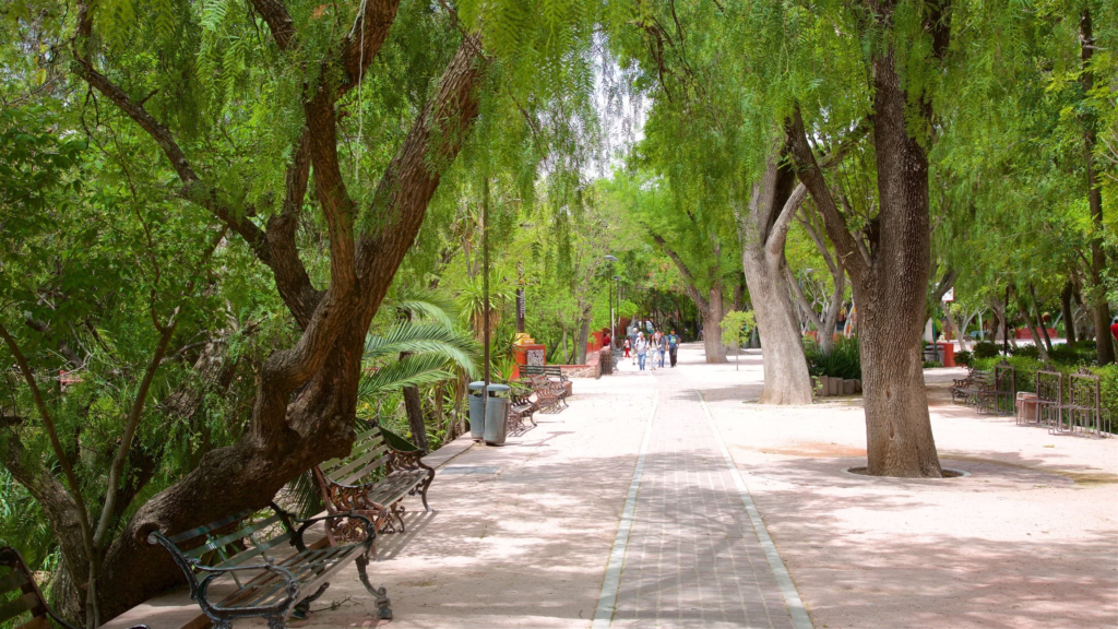 Colonia-ojo-de-agua-san-miguel-de-allende