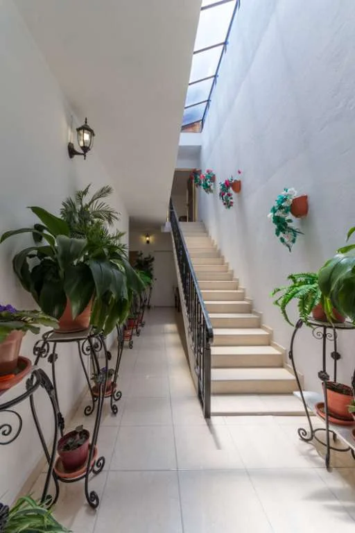 3 Casa Guadalupe San Miguel de Allende Agave Real Estate