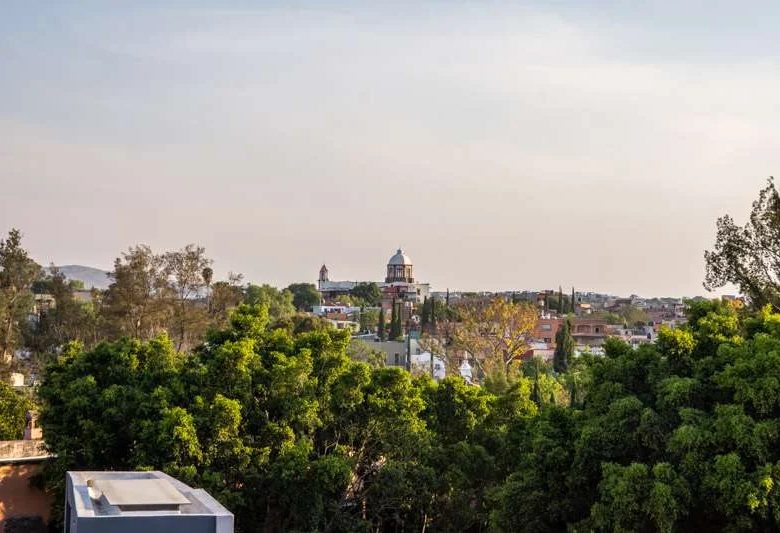 5 Terrace and Pied-a-terre San Miguel de Allende Agave Real Estate