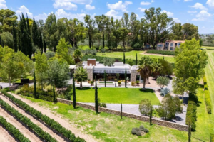 1 Casa Polo San Miguel de Allende Agave Real Estate