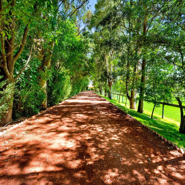 3 Rancho Morera San Miguel de Allende Agave Real Estate