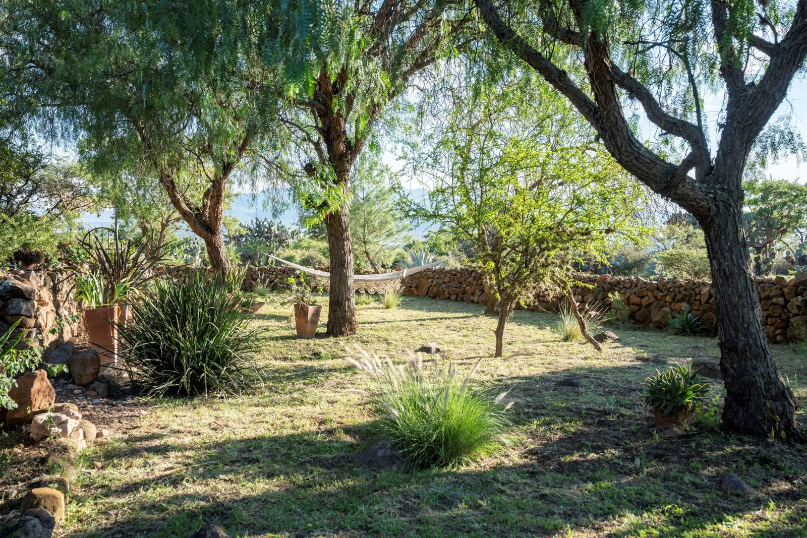 34 Rancho La Purisima San Miguel de Allende Agave Real Estate