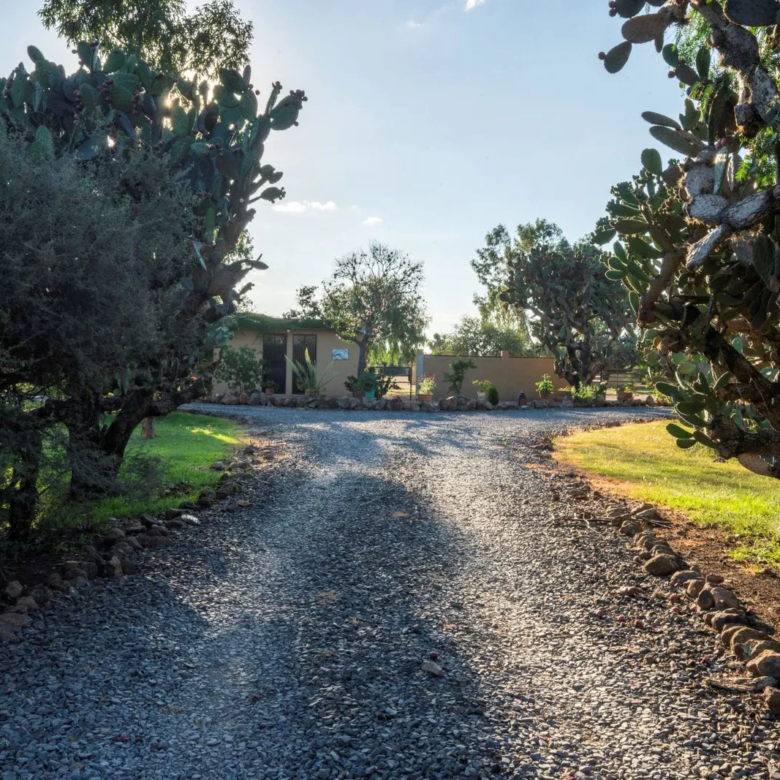 39 Rancho La Purisima San Miguel de Allende Agave Real Estate