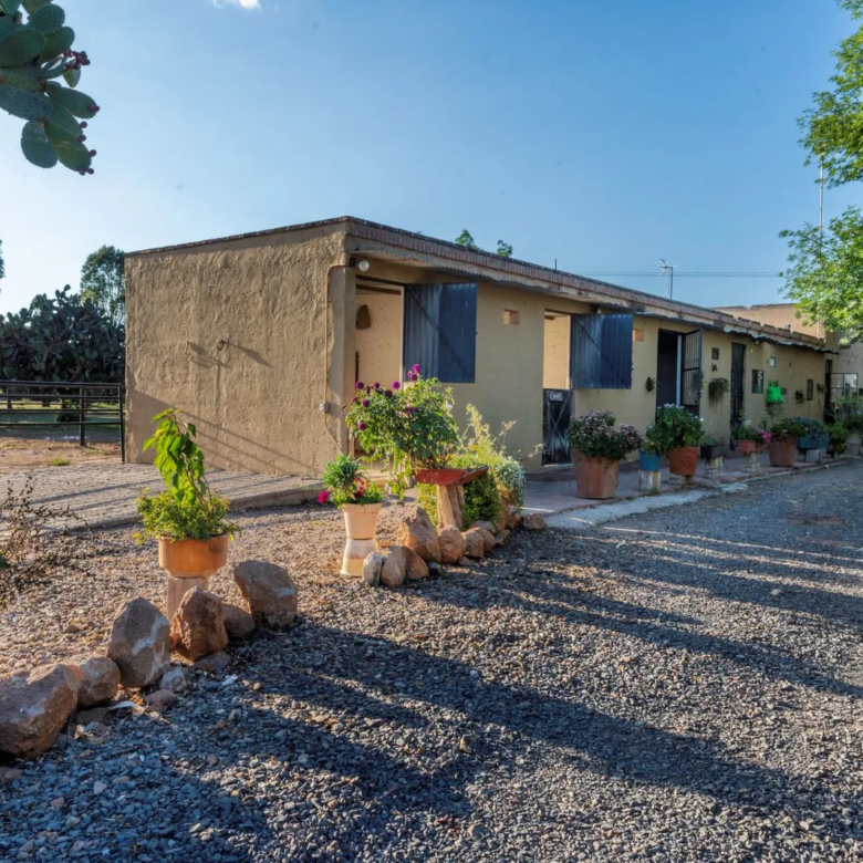 40 Rancho La Purisima San Miguel de Allende Agave Real Estate