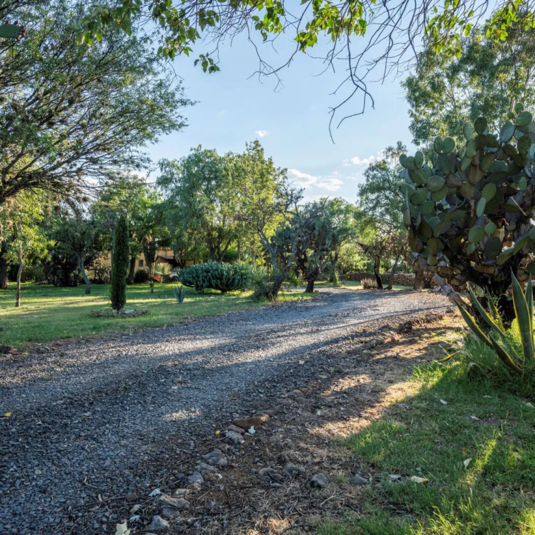 43 Rancho La Purisima San Miguel de Allende Agave Real Estate