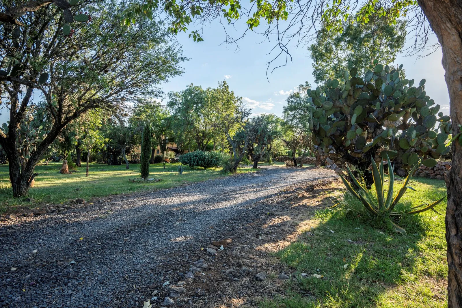 43 Rancho La Purisima San Miguel de Allende Agave Real Estate