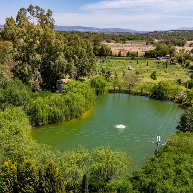 43 Rancho Morera San Miguel de Allende Agave Real Estate