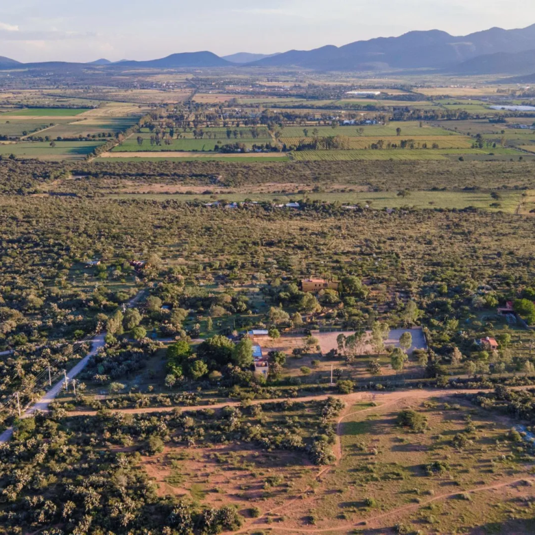 47 Rancho La Purisima San Miguel de Allende Agave Real Estate