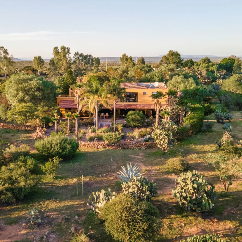 48 Rancho La Purisima San Miguel de Allende Agave Real Estate